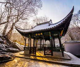 ����ͤ����