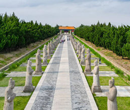 �����꽲��