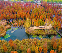 ��ɼ��ʪ��