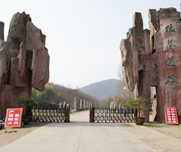 �����ԹȽ���