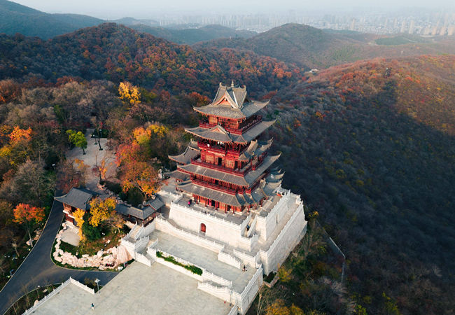 ���ݾ�������