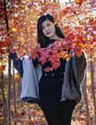 ���ݵ��η���