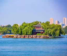 ���ϴ���������