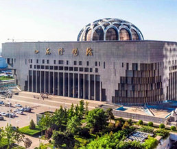 ɽ������ݽ���