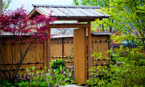 �黨��԰��