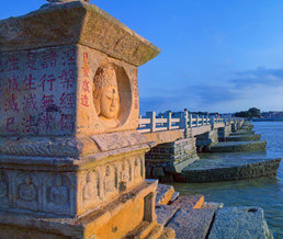 Ȫ�������Ž���