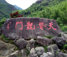 �켹���Ž���