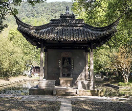 ��ͤ����