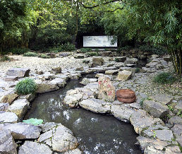 ��ͤ����