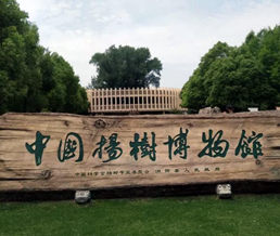 �й����������