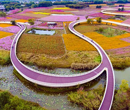 ��̨ɽɭ�ֹ�԰