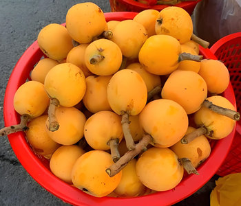 ���ݶ�ɽ����