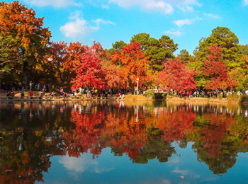 ������ƽɽ����