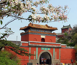 �����Ž���