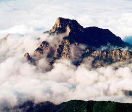 �ƺ�����