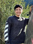 ̫ԭ���η���