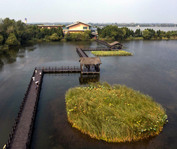 �ں�ʪ�ؽ���