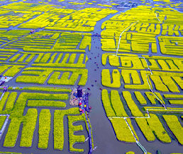 �˻�����ǧ���Ͳ˻�