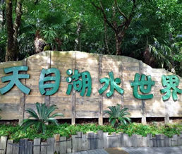 ��Ŀ��ˮ����