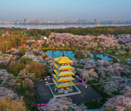 �人��������