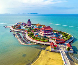 ���ɹ�����������